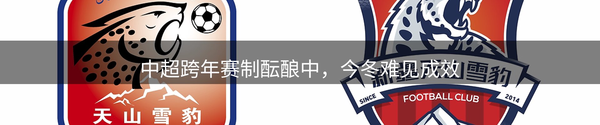 平台资讯