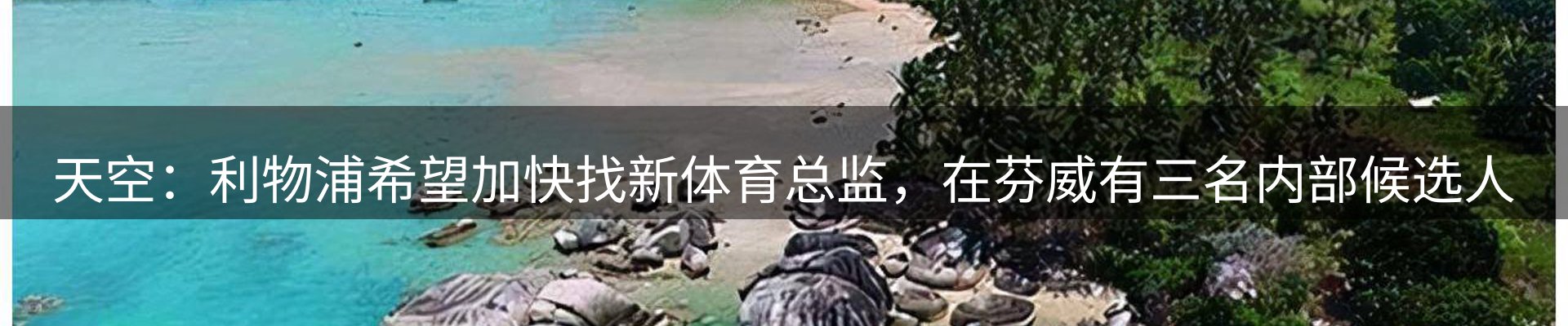 平台资讯