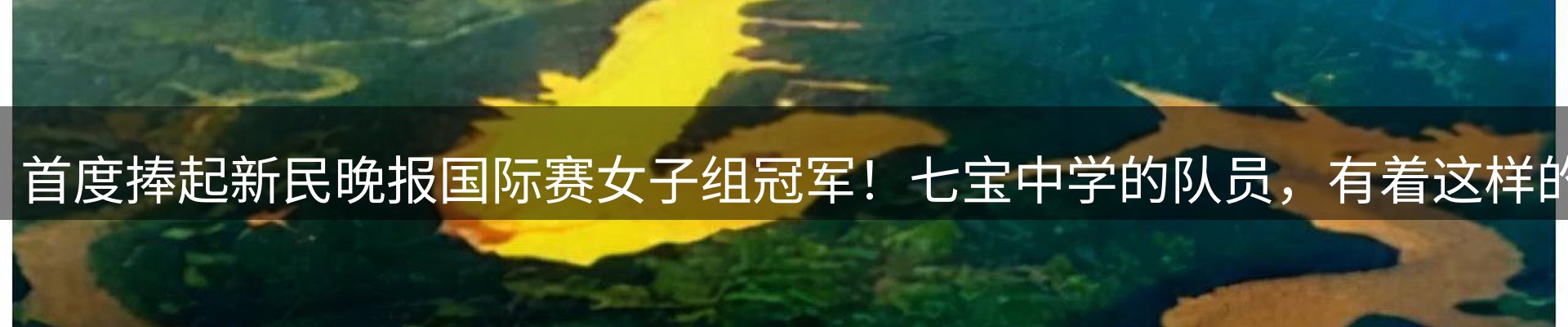 平台资讯